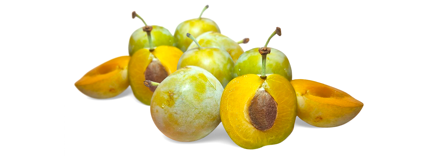 sensibilisation envirronement